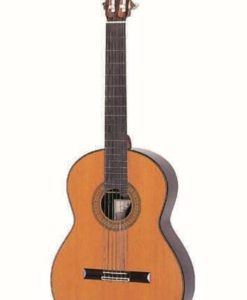 Dieter Hopf grande furioso portentosa Konzert gitarre Meistergitarre Meistergitarre gitarrenbauer