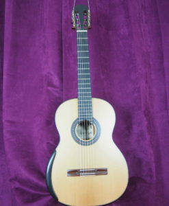 Konzert gitarre Meistergitarre Meistergitarre gitarrenbauer Robin Moyes beleistung radial Simon marty