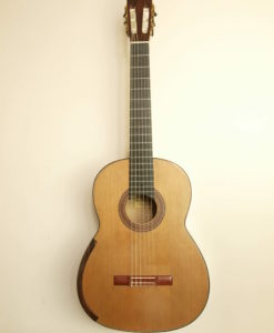 Greg Smallman Konzert gitarre Meistergitarre Meistergitarre gitarrenbauer lattice 2010