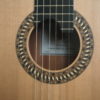 Allan Bull Konzert gitarre Meistergitarre Meistergitarre gitarrenbauer lattice