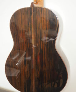 Régis Sala Klassische gitarre modèle lattice Australe