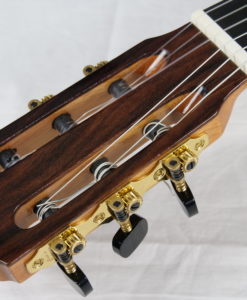 Alternative view of Alexander Pashentsev DT Nr 203 2021