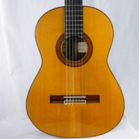 Daniel Friederich Concert 1960 - Frankreich