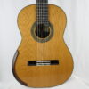 Domenic Roscioli lattice Gitarre Nr 248 2026 - Australia