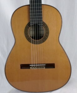 Alternative view of Dragan Neshic DT Especial 2026 - Serbien