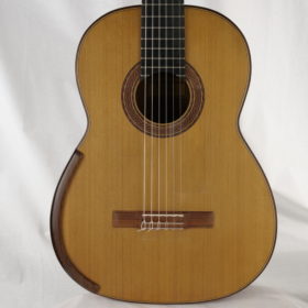 Greg Smallman & Sons Meistergitarre 2015