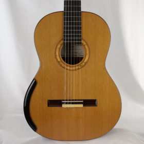 Regis Sala Australe 2023 Nr. 111 -  Frankreich