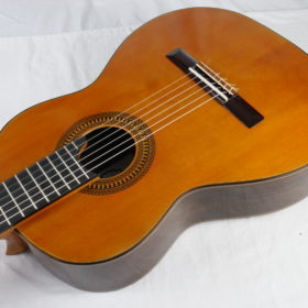 Saied Aboutalebian Doubletop 2023 Nr. 52 – Spanien