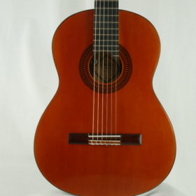 Saied Aboutalebian Doubletop 2023 Nr. 53 – Spanien