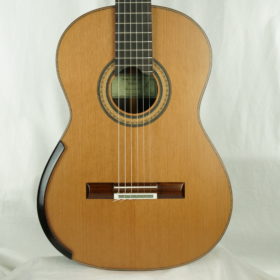 Domenic Roscioli lattice Gitarre Nr 213 2024 - Australia