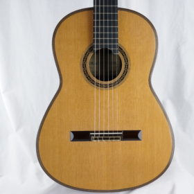 Dragan Neshic doubletop  2025 Paganini Guitar Festival - Serbien