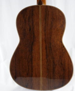 Alternative view of Dragan Neshic doubletop  2025 Paganini Guitar Festival - Serbien