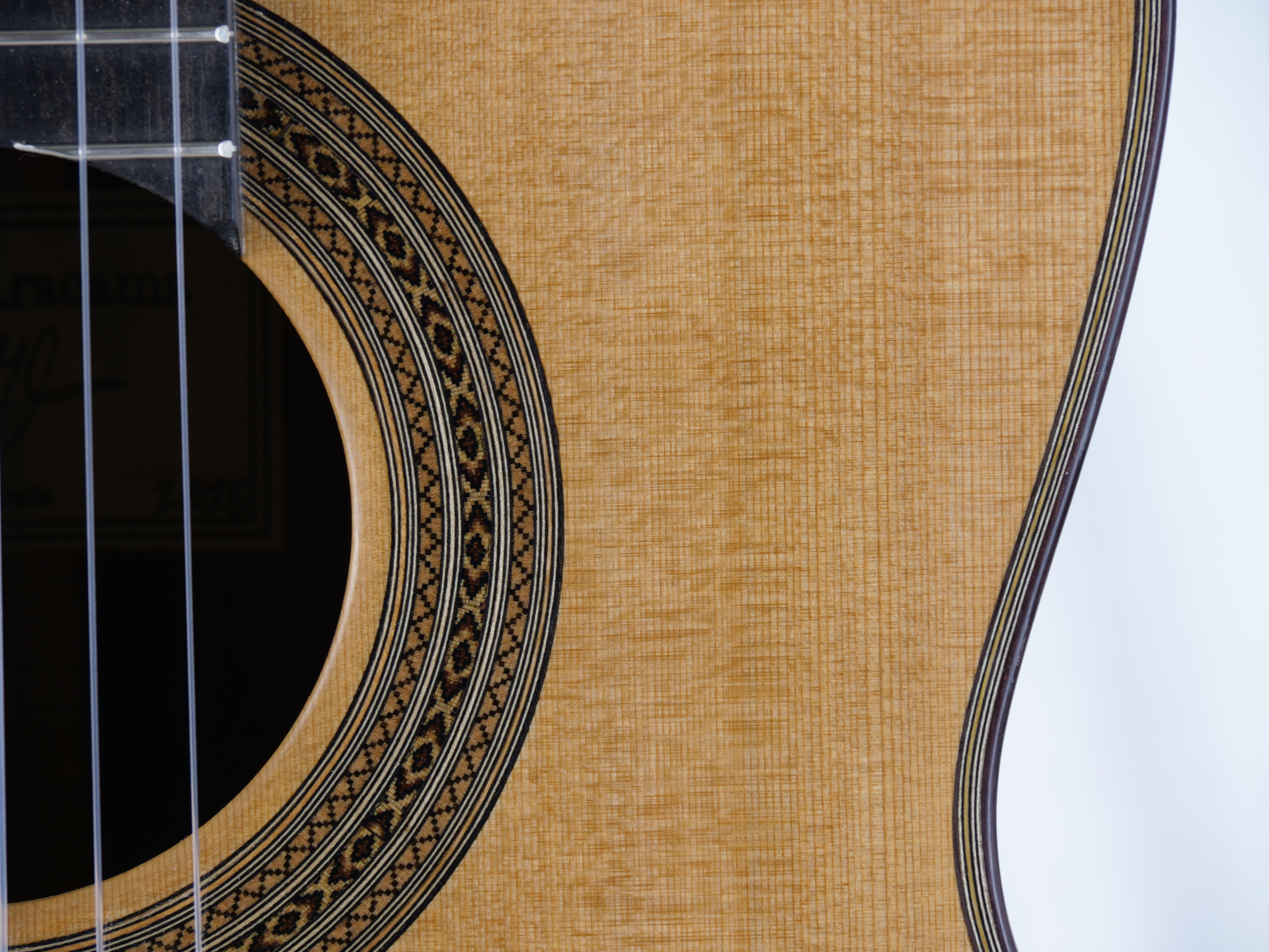 Mario Aracama 2025 - Granada Spanien – Image 6