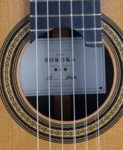 Alternative view of Youri Soroka DT 2026 balsa Nr 79 - Frankreich
