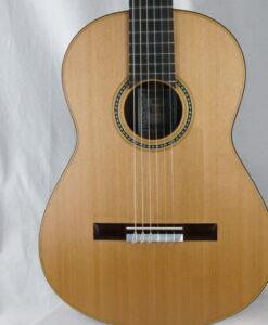 Alternative view of Mirko Migliorini DT 2026 Nr 440 - Italien