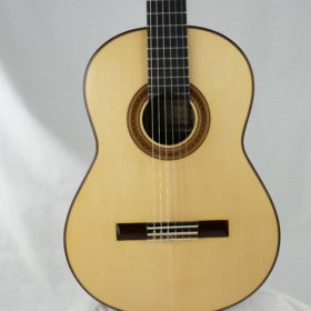 Giuseppe Guagliardo Fichte 2022 -  Italien