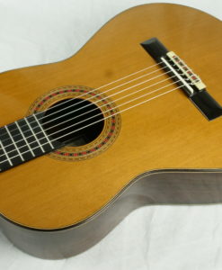 Alternative view of Carlos Gomes Valentim D. Friederich 2024 Nr 233/84