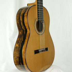 Gitarrenbauer O'Leary guitars Meistergitarre