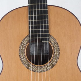 John Price Meistergitarre 2020 Nr. 387 - Australien