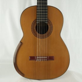 Greg Smallman & Sons Meistergitarre 2004