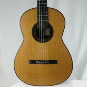 Dennis Tolz 2021 Meistergitarre - Deutschland