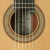 O'Leary Guitar Exclusive Nr. 269 - Ireland