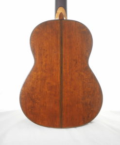 Dieter Hopf Portentosa evolucion 5043