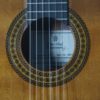 Meistergitarre dieter hopf Portentosa