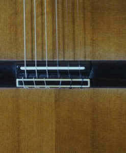 Dieter Hopf Portentosa evolucion 5043 Klassische Meistergitarre Konzertgitarre gitarrenbauer lattice