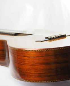 Dieter Hopf Portentosa evolucion 5043 Konzert gitarre Meistergitarre Meistergitarre gitarrenbauer