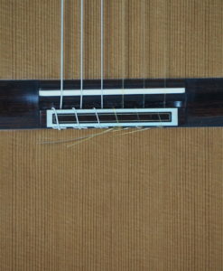 Klassische gitarre reza safavian