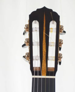 Klassische gitarre reza safavian