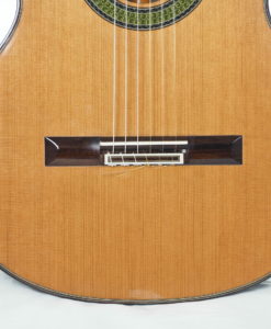 Konzert gitarre Meistergitarre Meistergitarre gitarrenbauer reza safavian