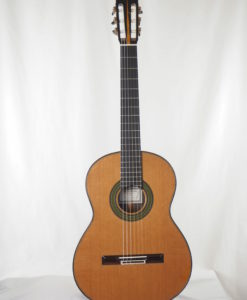 Meistergitarre gitarrenbauer Reza Safavian