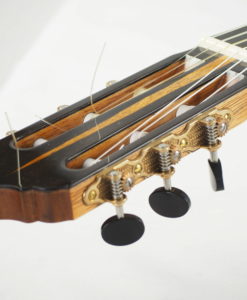 Meistergitarre gitarrenbauer Reza Safavian