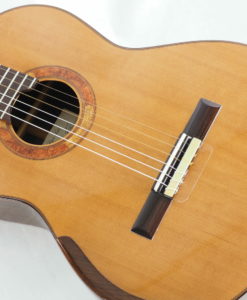 Konzert gitarre Meistergitarre Meistergitarre gitarrenbauer Régis Sala Australe Nr.31 217SAL013-09