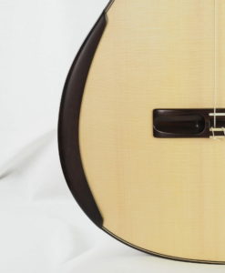 Gitarrebauer Jesse Moore Meistergitarre