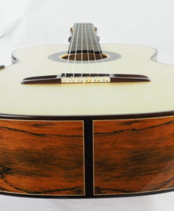 Gitarrebauer Jesse Moore Meistergitarre