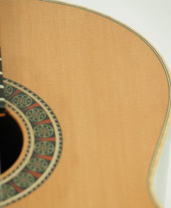 Martin Blackwell Klassische gitarre