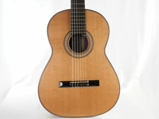 Michael O'Leary Professional Series Meistergitarre Nr. 206