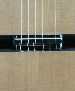 Michael O'Leary Meistergitarre Professional Series Nr. 206