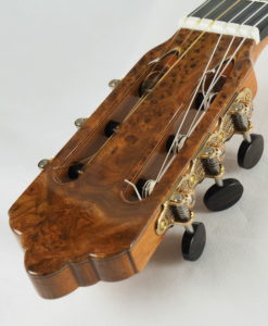 Michael O'Leary Meistergitarre