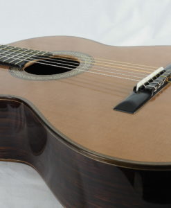 Michael O'Leary Meistergitarre