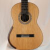 Domenic Roscioli lattice Gitarren Nr 171 2020 - Australia